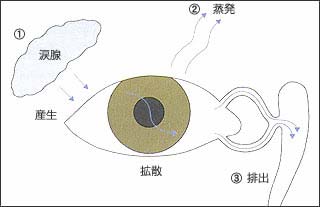 図1: 涙器の構造