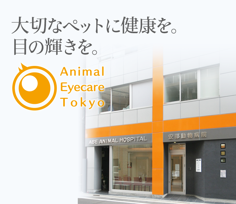 アニマル・アイケア東京 安部動物病院