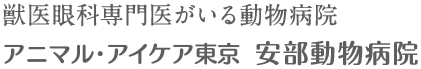 獣医眼科専門医がいる動物病院アニマル・アイケア東京 安部動物病院